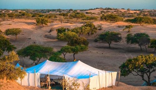 Tent