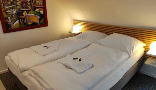 Single Room with Shared Bathroom