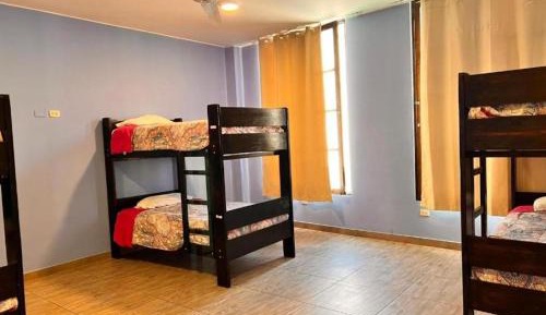 Bed in 6-Bed Mixed Dormitory Room