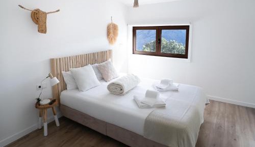 Suite with Mountain View
