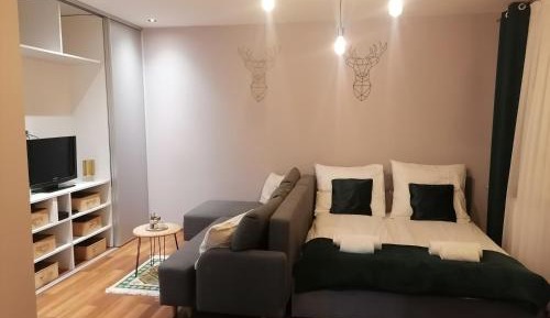 One-Bedroom Apartment with Balcony