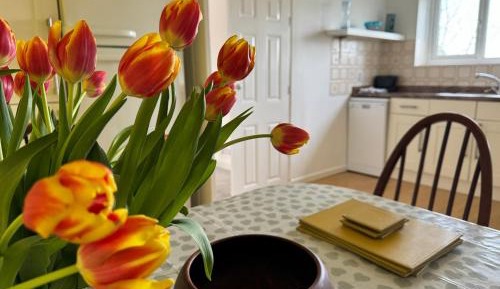 Ground Floor - Larger 1 Bedroom Apartment