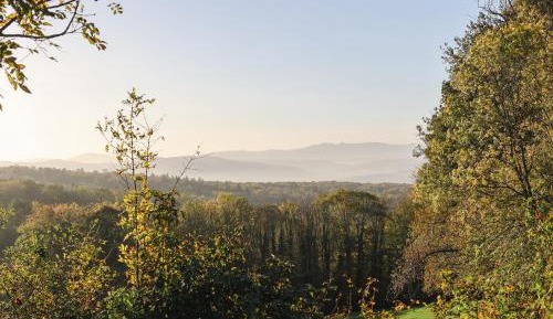 Single Room with Shower