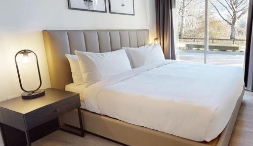 One Bedroom Suite ADA