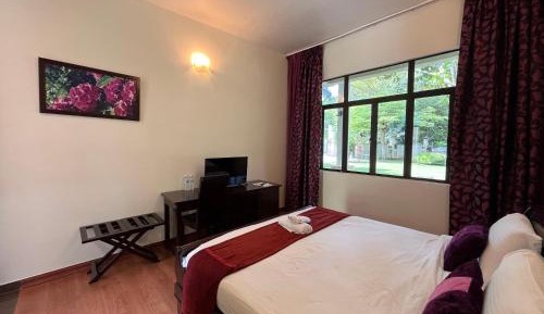 Deluxe King Room