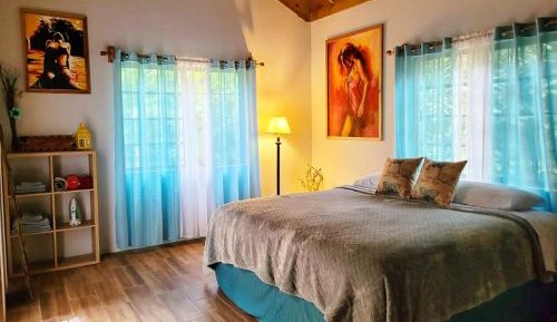 Deluxe King Suite