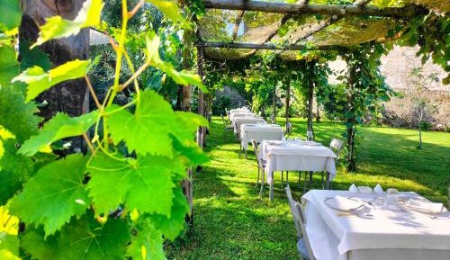 Suite with Garden View