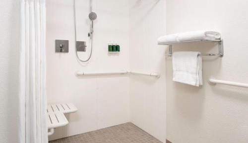 King Room with Sofa Bed and Roll-in Shower - Mobility and Hearing Accessible