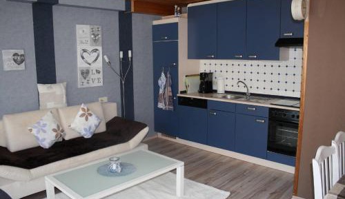 Superior One-Bedroom Apartment