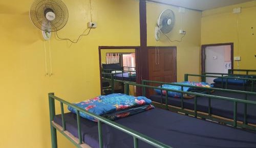 Bunk Bed in Mixed Dormitory Room