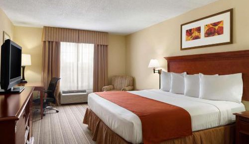 King Room
