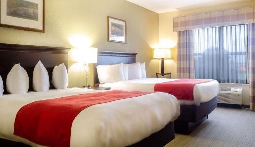 Queen Room with Two Queen Beds