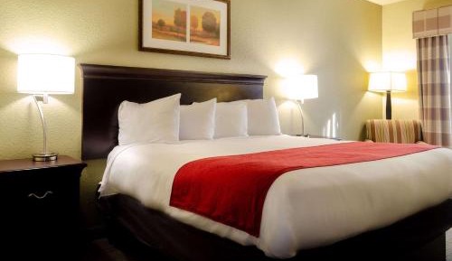 King Room