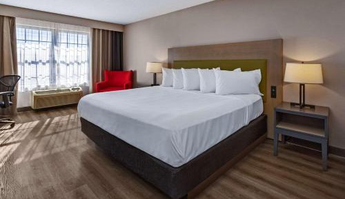 King Room