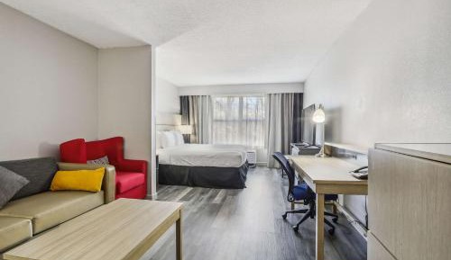 Studio Suite