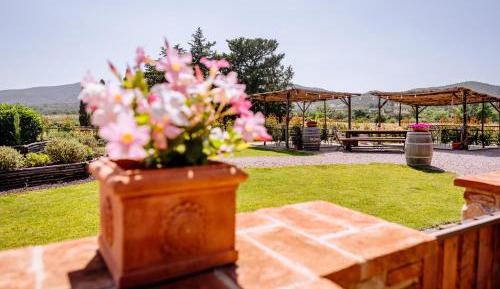Double Room with Patio
