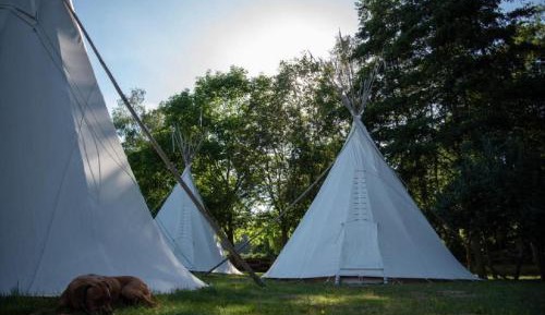Tent