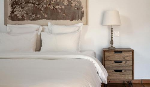 Double or Twin Room with Terrace