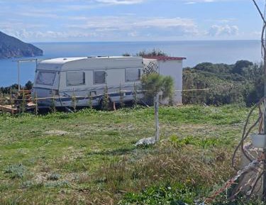 Mobile Home