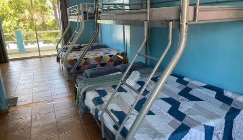 Bed in 6-Bed Dormitory Room