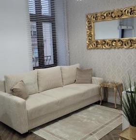 Studio with Sofa Bed