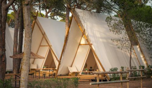 Tent Anza