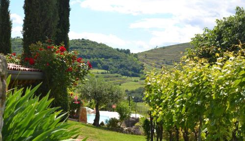King Room with Pool View