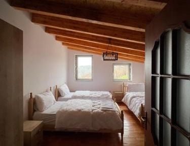 Basic Triple Room