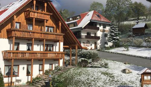 Studio with Mountain View