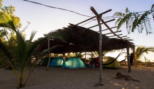 Tent