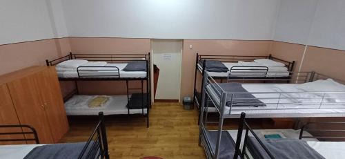 Bunk Bed in Mixed Dormitory Room