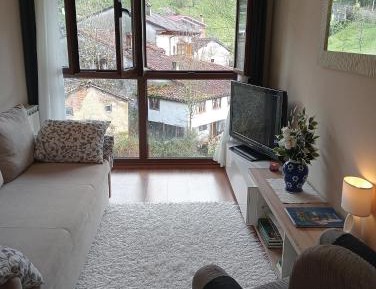 Apartment with Mountain View