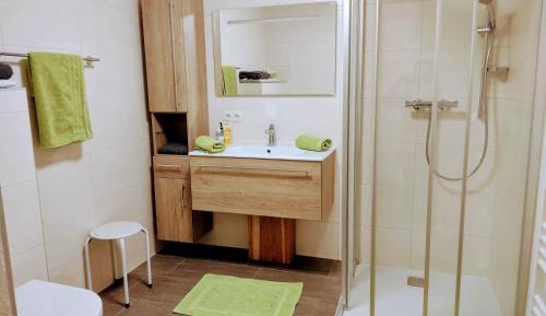 Two-Bedroom Apartment with Shower 