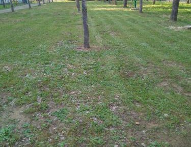 Empty spot with electricity and water for Autocamper and Van
