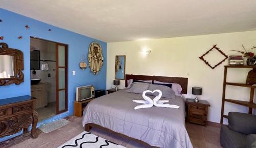 Deluxe King Suite