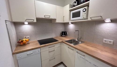 Superior Apartment with Lake view