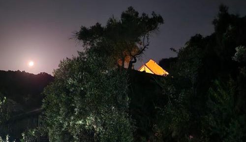 Tent