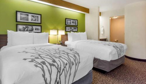 Double Room with Two Double Beds - Non-Smoking