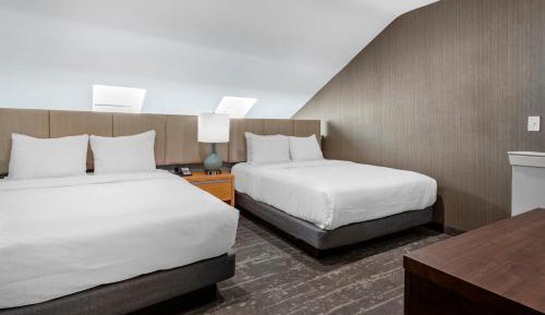 Deluxe Queen Suite