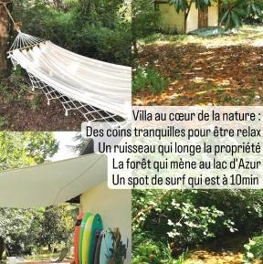 Family Room with Garden View