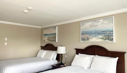 Standard Double Park View with Four Park Passes/each night of stay