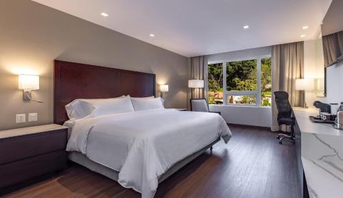 Queen Room with Garden View