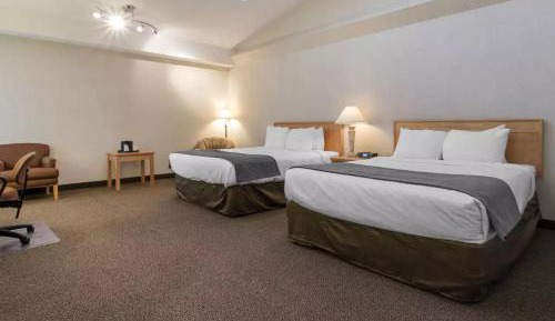 Standard Double Suite