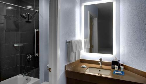 King Studio with Accessible Tub - Disability Access