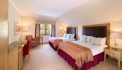 Deluxe Family Room