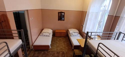 Bunk Bed in Mixed Dormitory Room