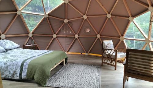 Dome sous le grand chêne 