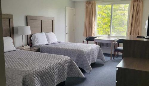 Standard Double Room with Forest View