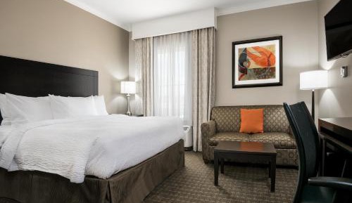 King Studio Suite with Sofa Bed