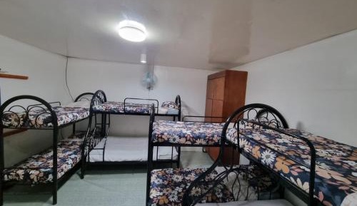 10-Bed Mixed Dormitory Room